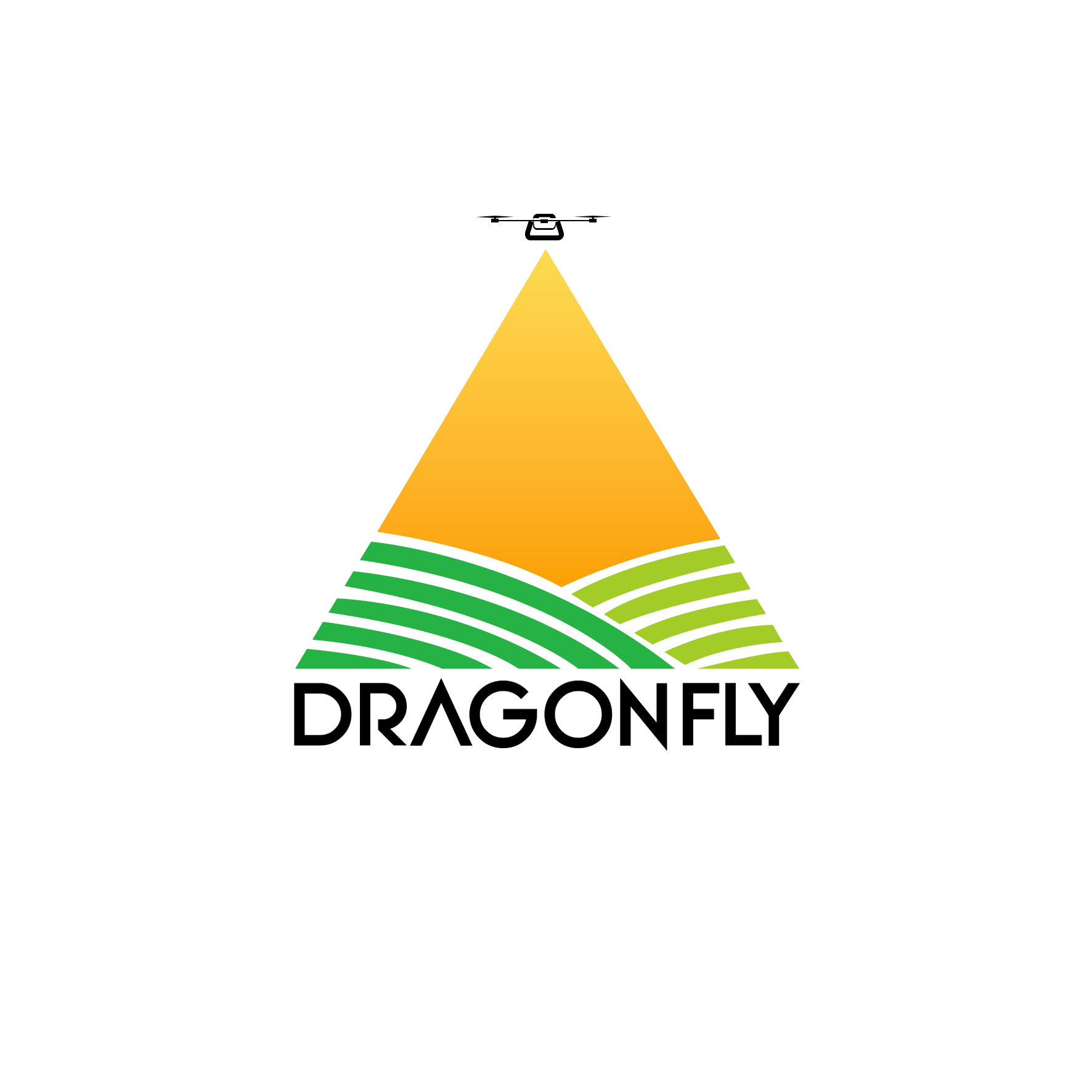 DragonFly – Dron usluge